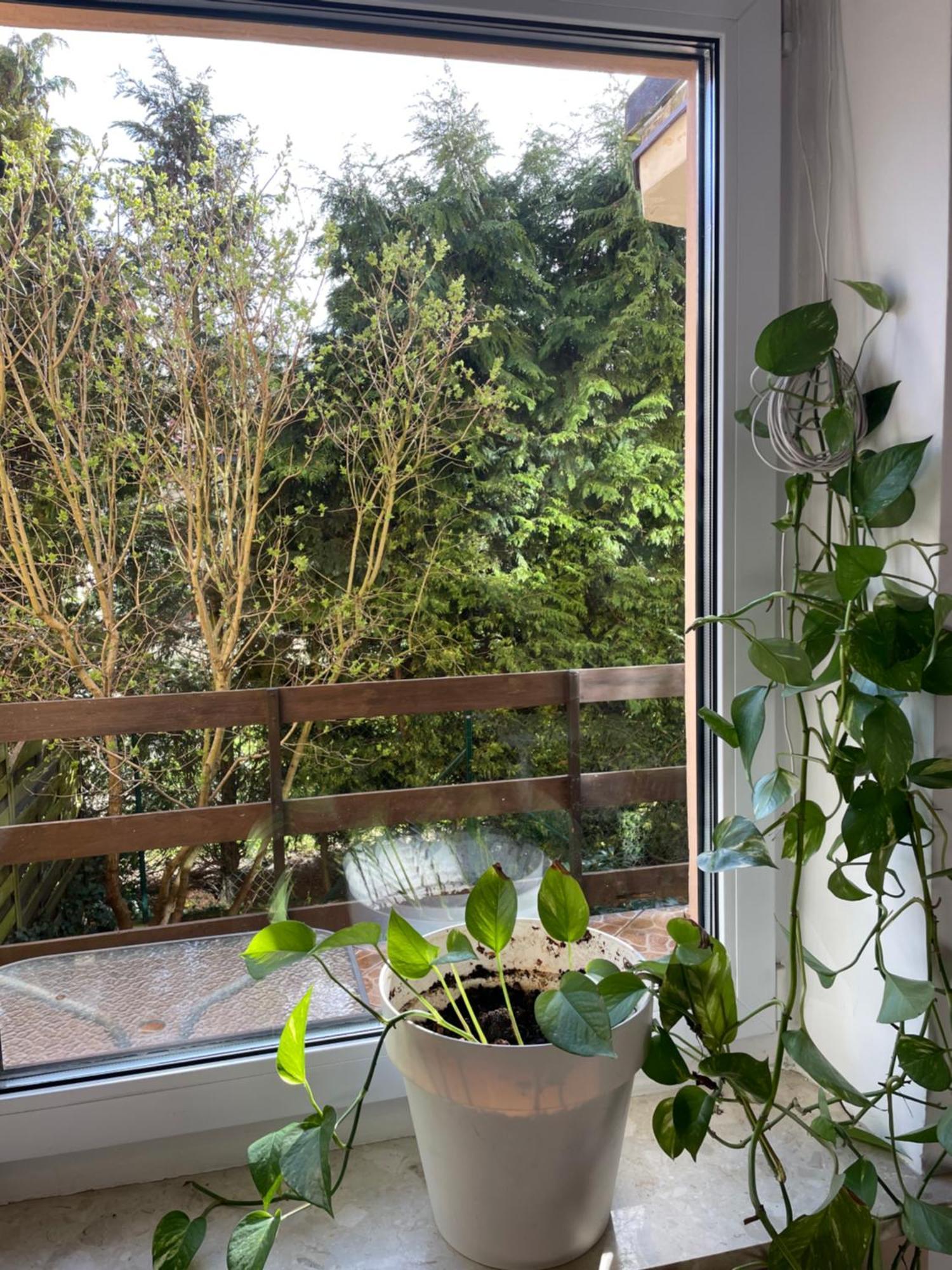 Apartament Airport Gdansk Luaran gambar
